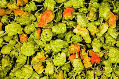 E3：塞尔达怀旧掌机公布 11月12日发售、约320元